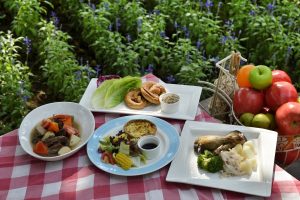 Family picnic in the garden – how to make it?