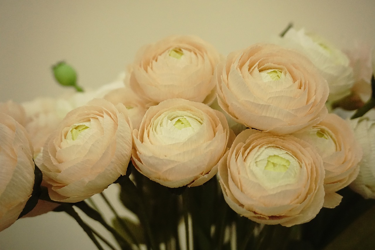TOP 5 inspirations for paper flowers