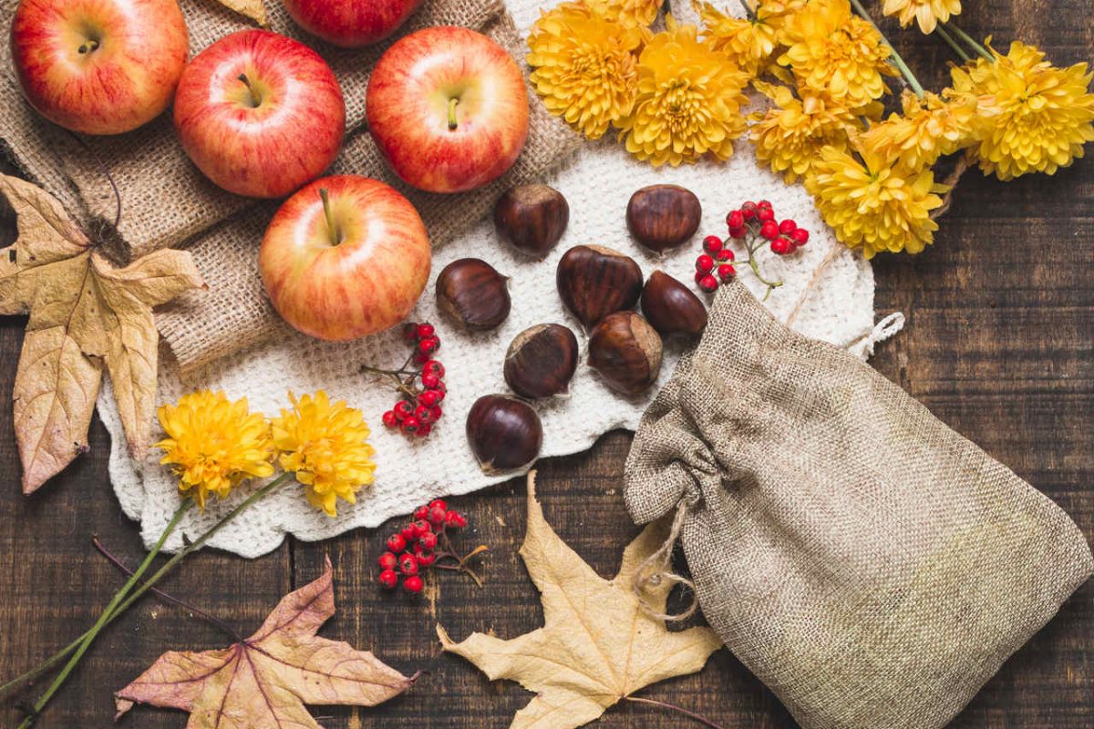 Autumn decorations for your home to make with your child