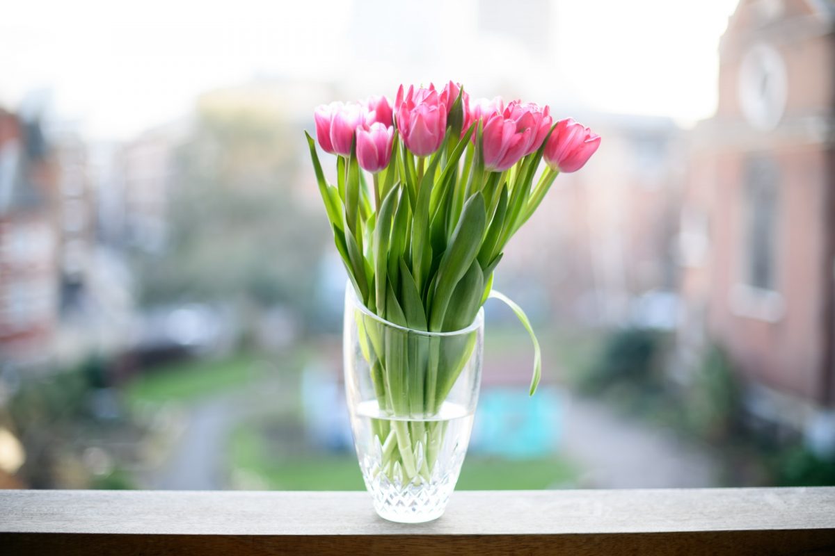 How to make tulips stand long in a vase?
