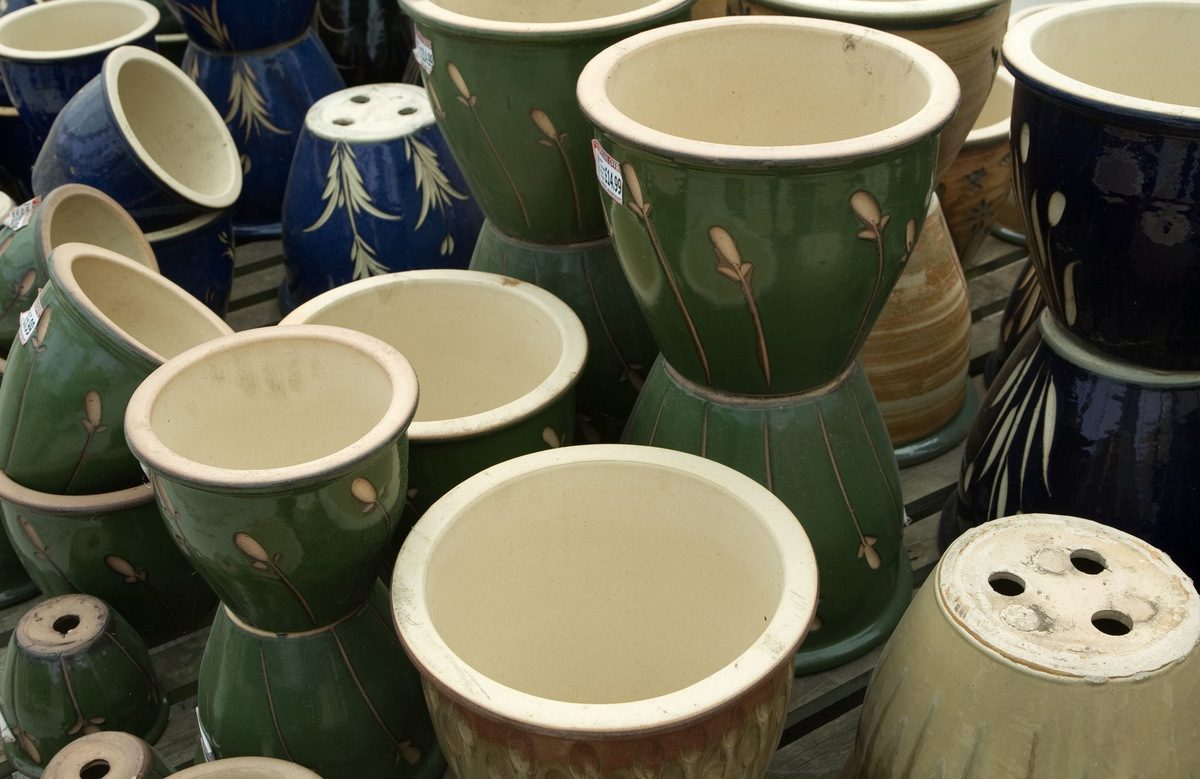 Flower pot vs. protective cover. Which to choose and for which flowers?